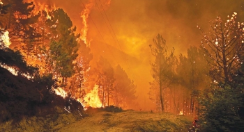 Número de incêndios florestais em Portugal atinge recorde em um só dia